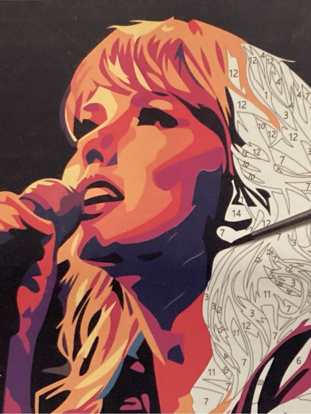 Taylor Singing In Colors Paint by Numbers - Multicolor - Picture 9 of 15